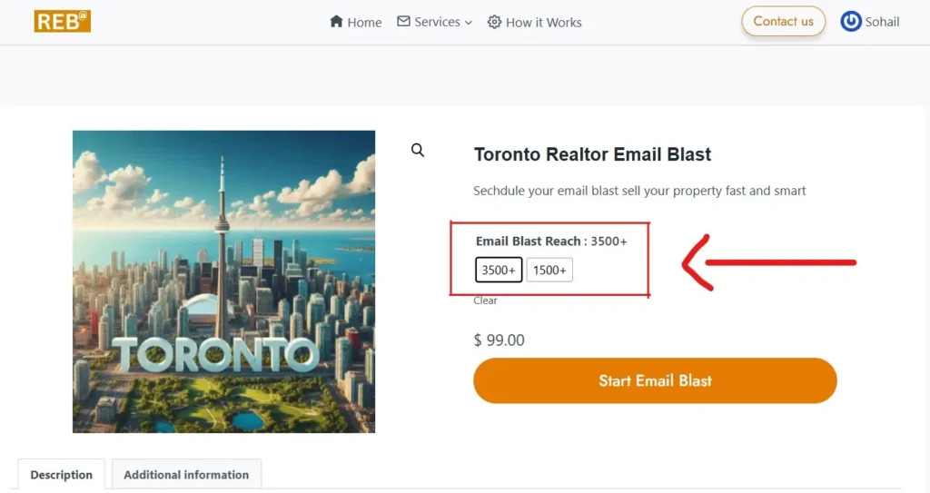 Toronto Realtor email blast
